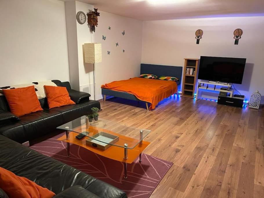 Spacious In Luxurious Villa-geneva Apartment *